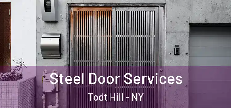 Steel Door Services Todt Hill - NY