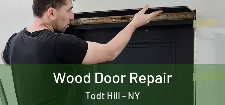 Wood Door Repair Todt Hill - NY